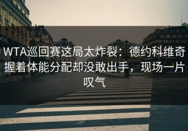 WTA巡回赛这局太炸裂：德约科维奇握着体能分配却没敢出手，现场一片叹气
