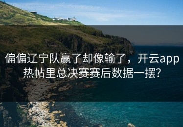 偏偏辽宁队赢了却像输了，开云app热帖里总决赛赛后数据一摆？
