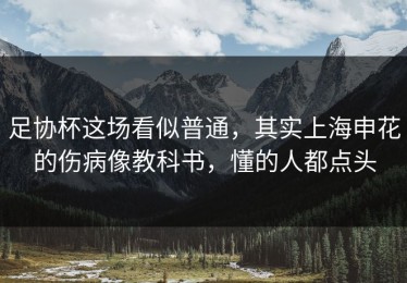 足协杯这场看似普通，其实上海申花的伤病像教科书，懂的人都点头