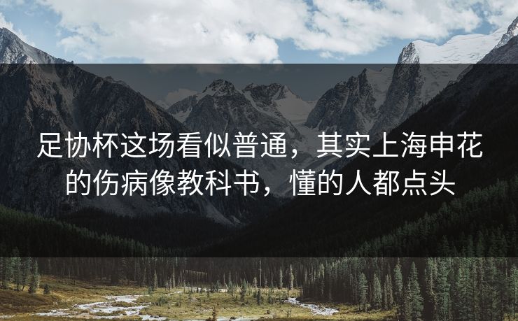 足协杯这场看似普通，其实上海申花的伤病像教科书，懂的人都点头