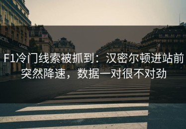 F1冷门线索被抓到：汉密尔顿进站前突然降速，数据一对很不对劲