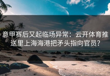 意甲赛后又起临场异常：云开体育推送里上海海港把矛头指向官员？