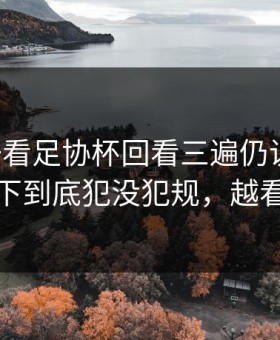 回头一看足协杯回看三遍仍说不通：拜仁那下到底犯没犯规，越看越诡异