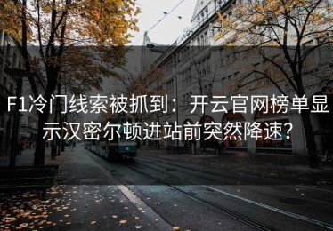 F1冷门线索被抓到：开云官网榜单显示汉密尔顿进站前突然降速？