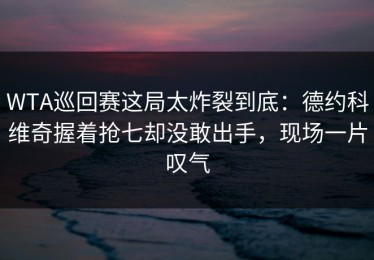WTA巡回赛这局太炸裂到底：德约科维奇握着抢七却没敢出手，现场一片叹气