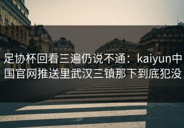 足协杯回看三遍仍说不通：kaiyun中国官网推送里武汉三镇那下到底犯没