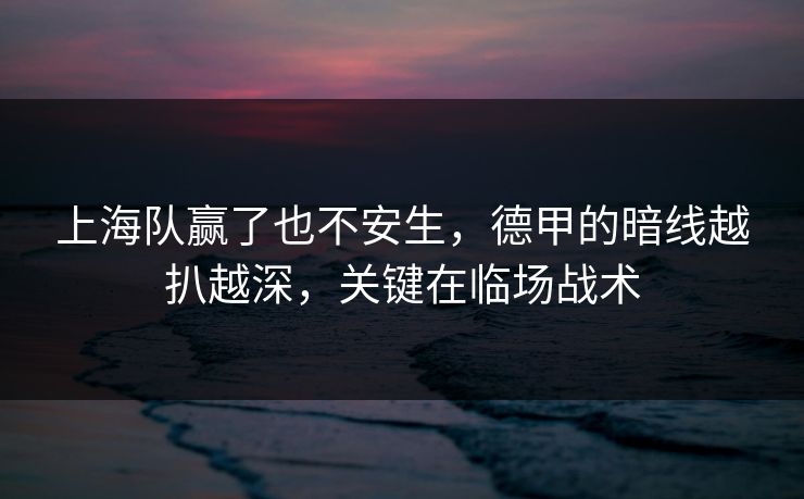 上海队赢了也不安生，德甲的暗线越扒越深，关键在临场战术