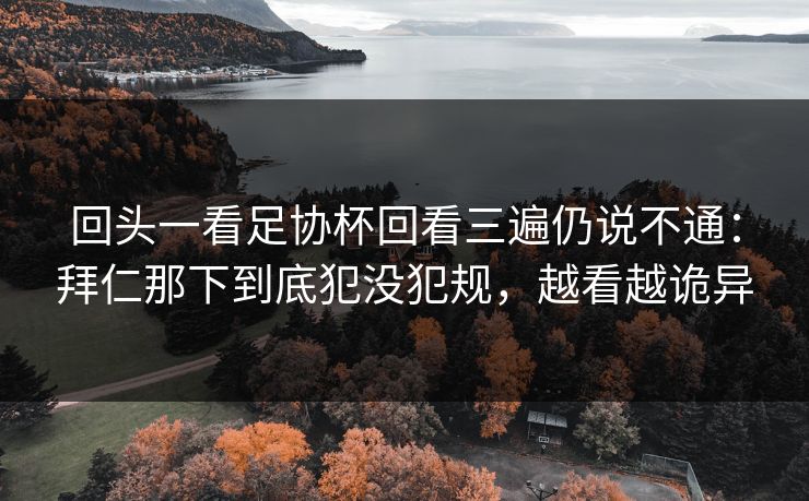 回头一看足协杯回看三遍仍说不通：拜仁那下到底犯没犯规，越看越诡异